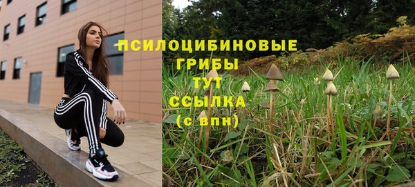 а пвп мука Гусиноозёрск