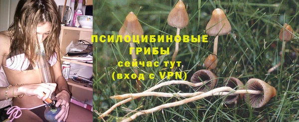 кокаин Гусь-Хрустальный