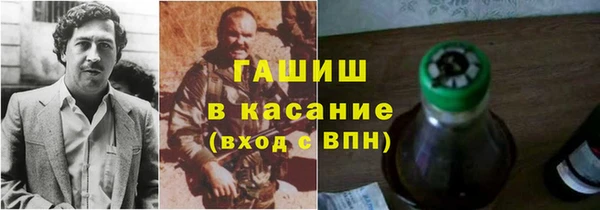 дмт Гусев