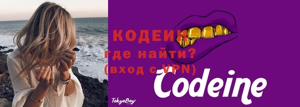 дмт Гусев