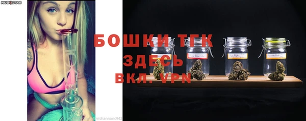 дмт Гусев