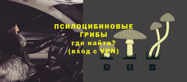 дмт Гусев
