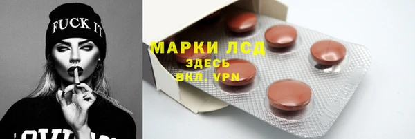 дмт Гусев