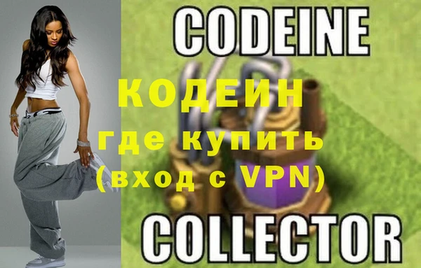 дмт Гусев