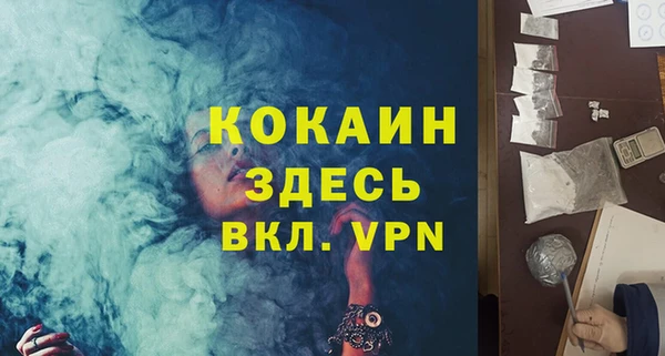 дмт Гусев