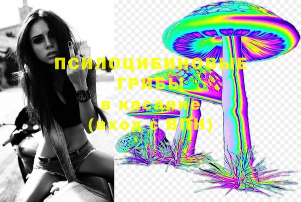 дмт Гусев