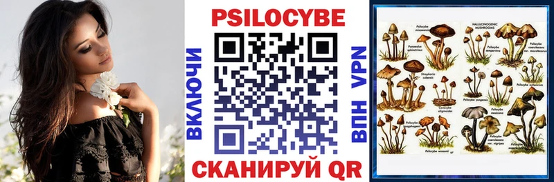 наркотики  Ставрополь  Псилоцибиновые грибы прущие грибы 